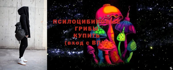 ешки Медвежьегорск