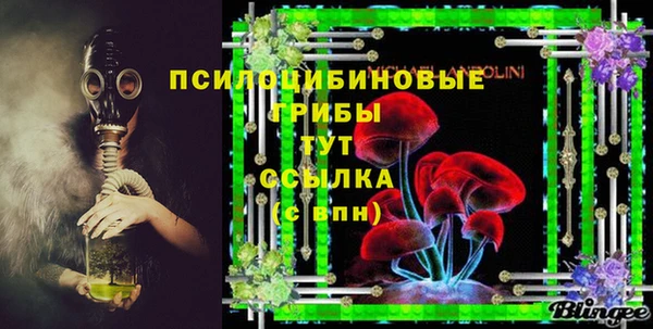 ешки Медвежьегорск