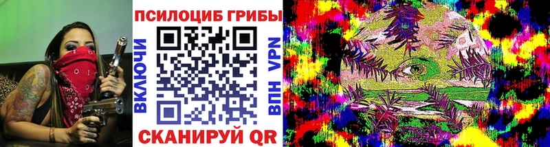 мега как зайти  закладка  Шарья  Псилоцибиновые грибы мухоморы 